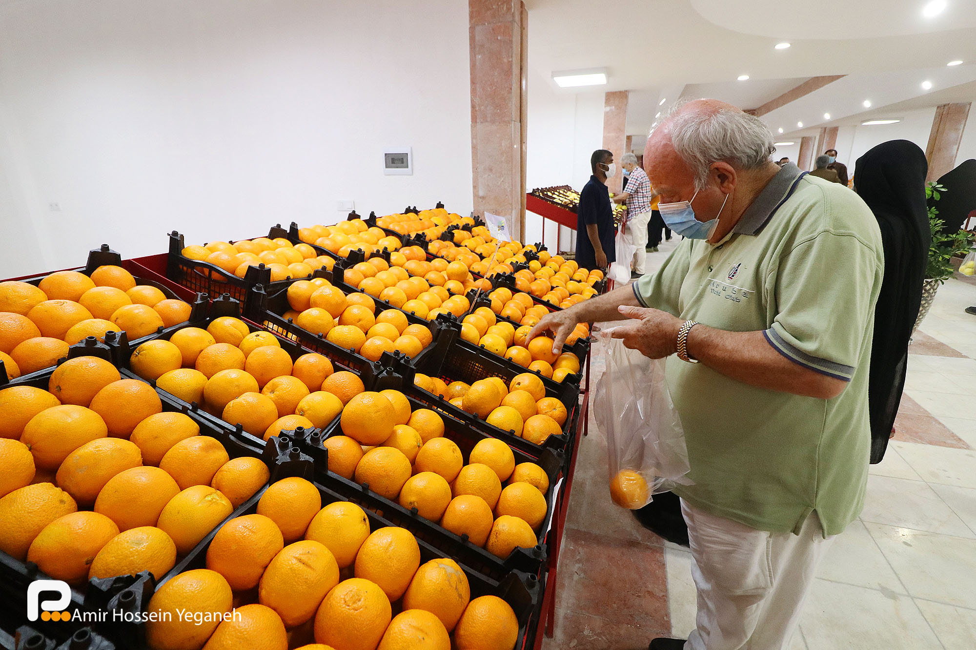 گزارش تصویری / استقبال چشمگیر کیشوندان از بازار میوه و تره بار کیش