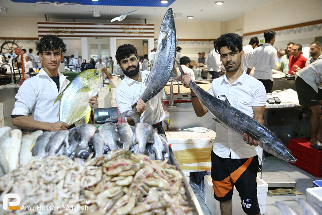 حال و هوا بازار ماهی فروشان جزیره کیش در اخرین روز سال 
